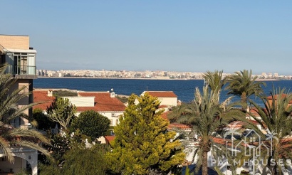Revente - Apartment - Torrevieja - Punta Prima