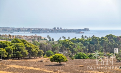 Revente - Apartment - Torrevieja - Punta Prima