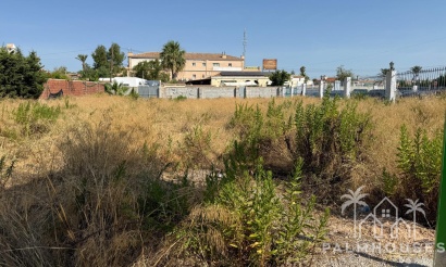 Venta - Plot - Orihuela Costa - La Regia