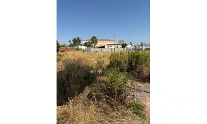 Venta - Plot - Orihuela Costa - La Regia