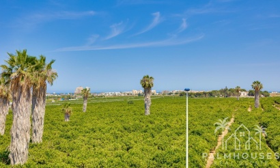 Revente - Maison - Torrevieja - Los Balcones