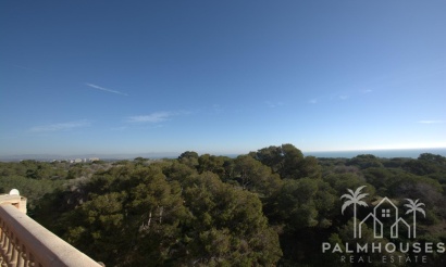 New Build - Apartments - Guardamar del Segura - Pueblo