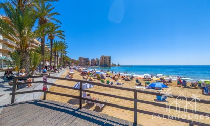 Venta - Apartment - Torrevieja - Playa del cura