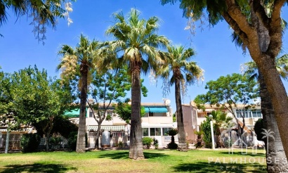 Herverkoop - Appartement - Orihuela Costa - Costa Blanca