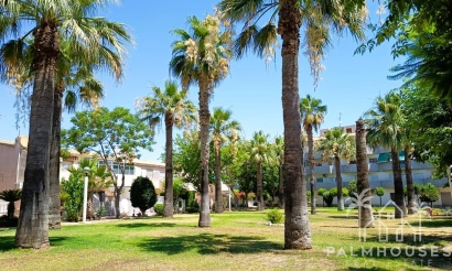 Herverkoop - Appartement - Orihuela Costa - Costa Blanca