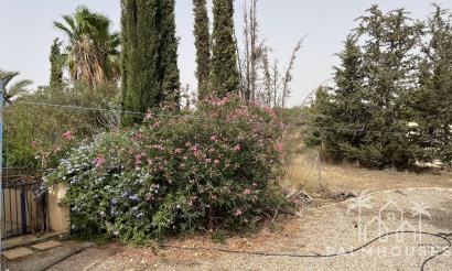Herverkoop - Finca - Totana - Costa Calida