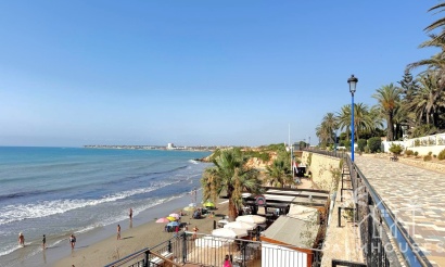 Nouvelle construction - Villa - Orihuela Costa - Punta Prima