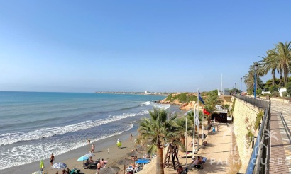 Nouvelle construction - Villa - Orihuela Costa - Punta Prima