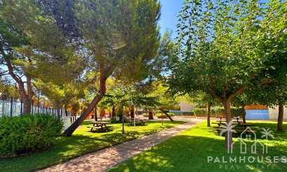 Revente - Apartment - Orihuela Costa - Costa Blanca