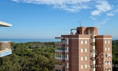 Venta - Apartment - Guardamar del Segura - Puerto