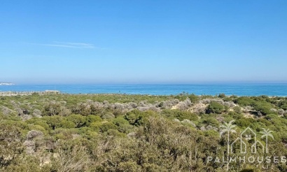 Venta - Apartment - Guardamar del Segura - Puerto
