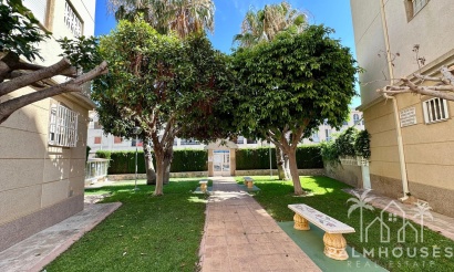 Revente - Apartment - Torrevieja - Habaneras
