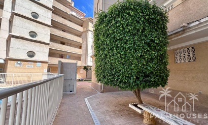 Revente - Apartment - Torrevieja - Habaneras