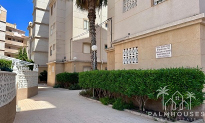 Revente - Apartment - Torrevieja - Habaneras