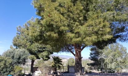Revente - Villa - Abanilla