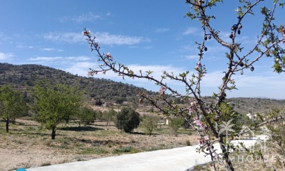 Revente - Villa - Abanilla