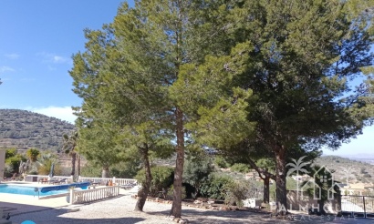 Revente - Villa - Abanilla