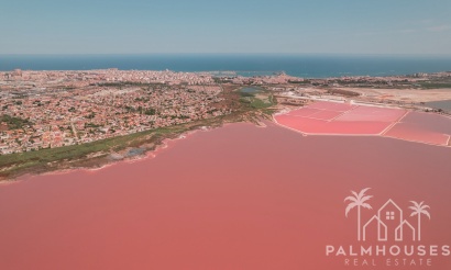 Nouvelle construction - Apartment - Torrevieja