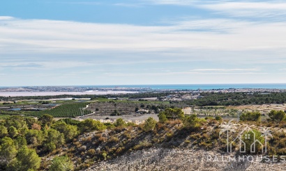 Nieuwbouw - Villa - San Miguel de Salinas - San Miguel