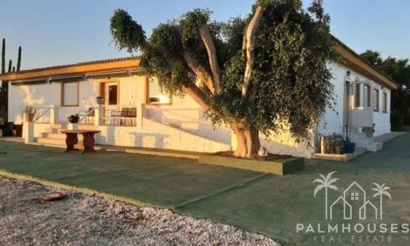 Revente - Villa - San Miguel de Salinas - Inland