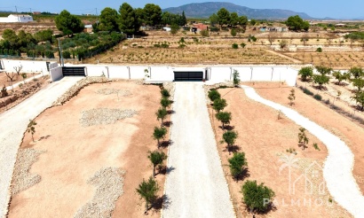 Resale - Villa - Pinoso