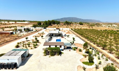Resale - Villa - Pinoso
