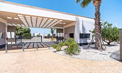 Nieuwbouw - Appartement - Vera - El Playazo