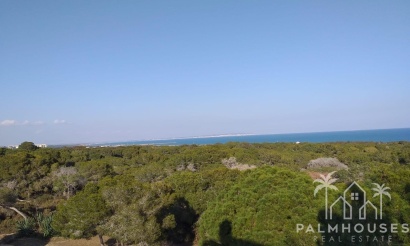 Nouvelle construction - Apartment - Guardamar del Segura - Pueblo