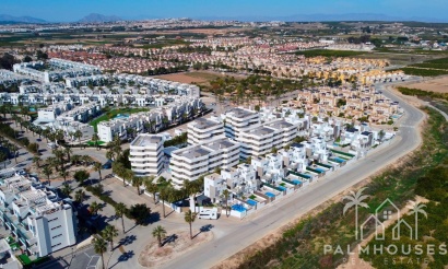Nouvelle construction - Maison - Guardamar del Segura - El Raso