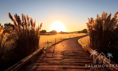 Nouvelle construction - Villa - Pilar de La Horadada - Lo Romero Golf