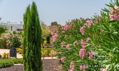 Nouvelle construction - Apartment - Orihuela - Vistabella Golf