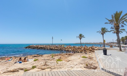 Revente - Apartment - Torrevieja - Paseo maritimo