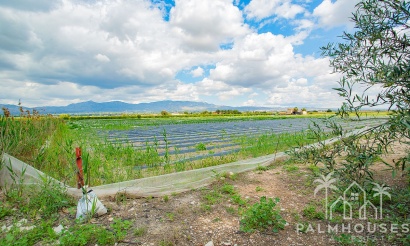 Herverkoop - Country house - San Isidro - San Isidro Centro