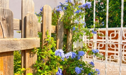 Revente - Villa - Torrevieja - La Mata