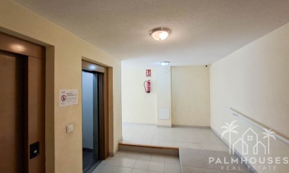 Revente - Apartment - Torrevieja - Torrevieja Centro