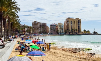 Revente - Apartment - Torrevieja - Torrevieja Centro