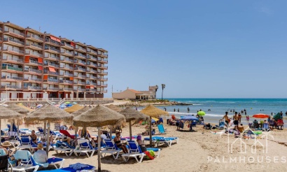 Venta - Apartment - Torrevieja - Torrevieja Centro