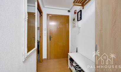 Venta - Apartment - Torrevieja - Torrevieja Centro
