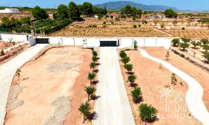 Herverkoop - Villa - Pinoso - Pinoso Centro