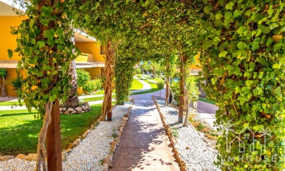 Venta - Apartment - Orihuela - Punta Prima