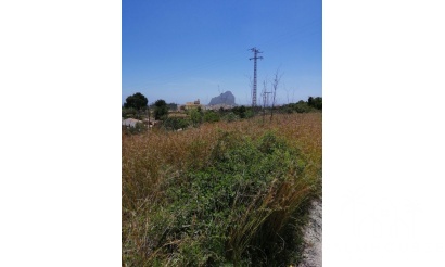 Herverkoop - Plot - Calpe - Calpe Centro
