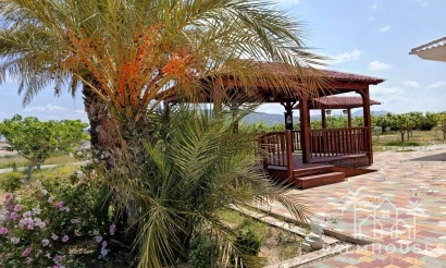 Venta - Villa - Pinoso - Pinoso Centro