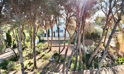 Revente - Plot - Benissa - La Cometa
