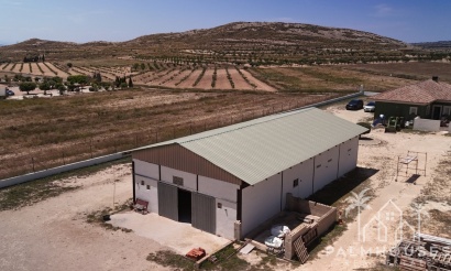 Revente - Country house - Jumilla - Torre Del Rico