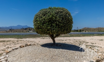 Revente - Country house - Jumilla - Torre Del Rico