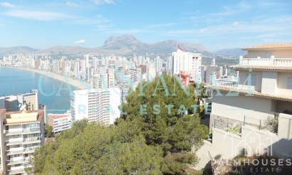Herverkoop - Plot - Benidorm - Benidorm Centro