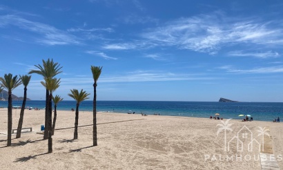 Revente - Apartment - Benidorm - Benidorm Centro