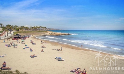 Revente - Apartment - Orihuela - Orihuela Centro