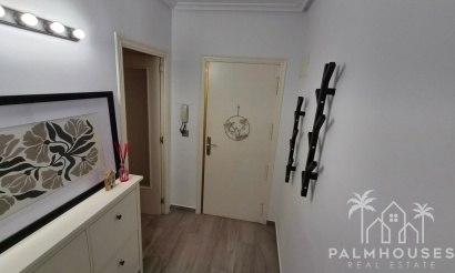 Revente - Apartment - Torrevieja - Torrevieja Centro
