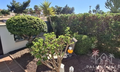 Herverkoop - Appartement - Vera Playa